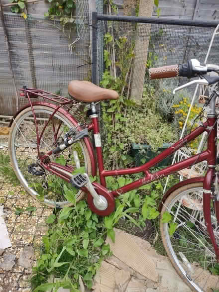 Photo of free Bicycle (West Preston BN16) #2