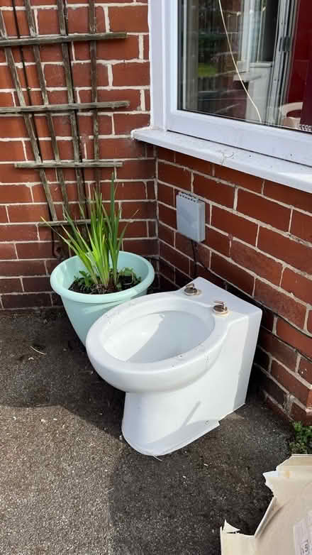 Photo of free Toilet Basin (M40) #1