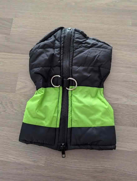 Photo of free Dog coat (Huntley) #1