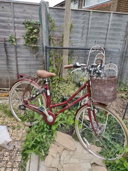 Photo of free Bicycle (West Preston BN16) #1