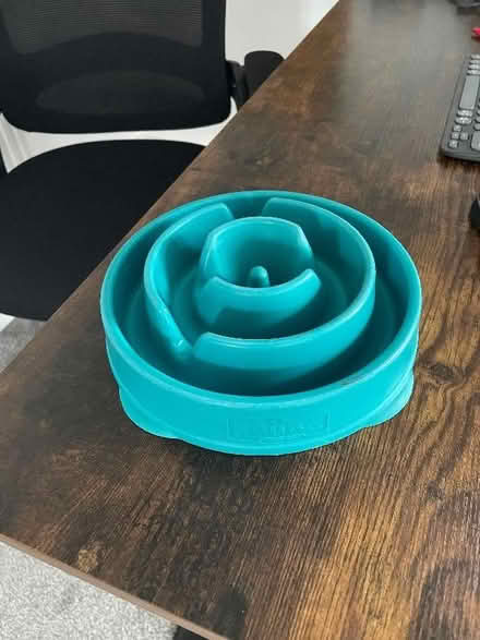 Photo of free Dog bowl - slow feeding (Wallasey CH45) #1