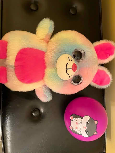 Photo of free Stuffed toy and ball (South Etobicoke) #1
