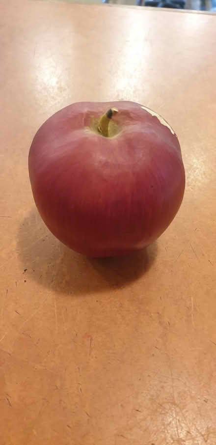 Photo of free Fake apple (Old Trafford, M16) #3