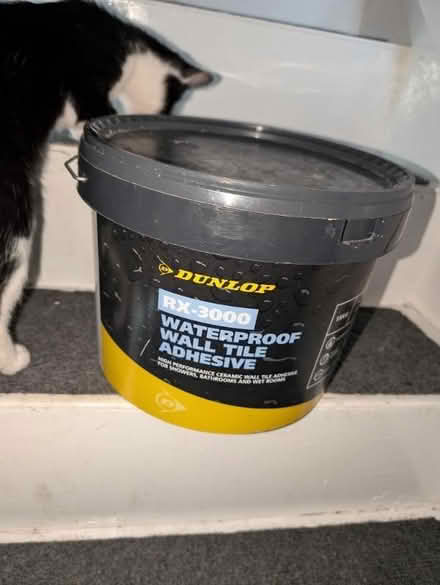 Photo of free Waterproof Tile adhesive wall 15kg (Bromley North BR1) #1