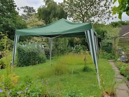 Photo of free Garden Gazebo (Clayton-le-Woods PR25) #3