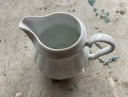 Photo of free Milk jug (Sutton-in-Ashfield, NG17) #2
