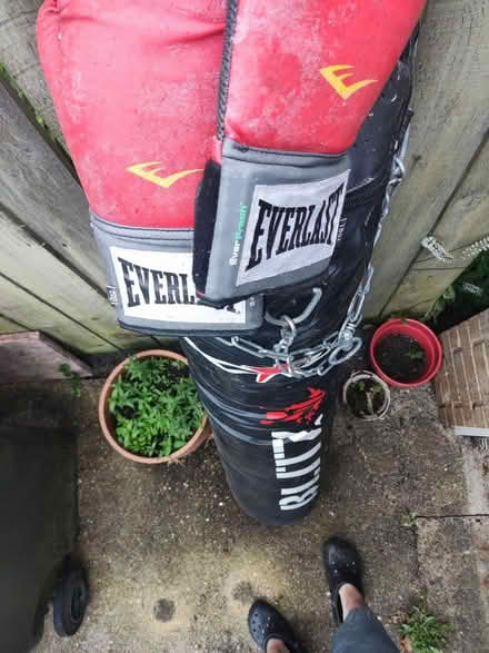 Photo of free Punchbag and Boxing Gloves (South Gosforth NE3) #1
