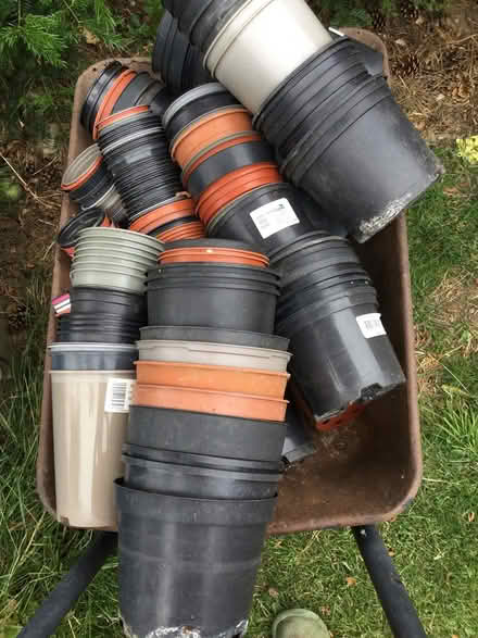 Photo of free Plant pots (Berkhamsted) #1