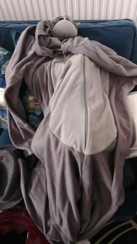 Photo of free Adult onesie (Seven kings IG3) #1