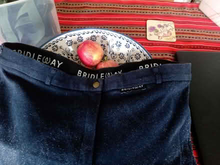 Photo of free Size 16 johdpurs (Wolfhill PH2) #1