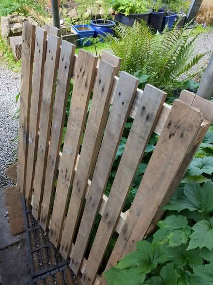 Photo of free Pallet (Lansdown) #1