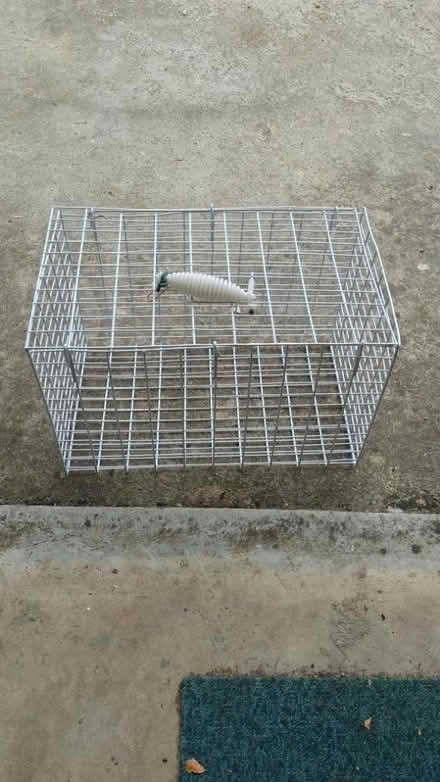 Photo of free Cat basket (Upper Wolvercote) #1