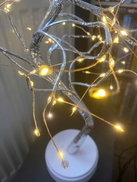 Photo of free Fairy Tree Light (Coventry CV5) #2