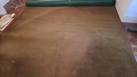 Photo of free Wool mix carpet (Weybridge, KT13) #2