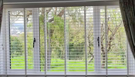 Photo of free Blinds (Charmouth DT6) #1