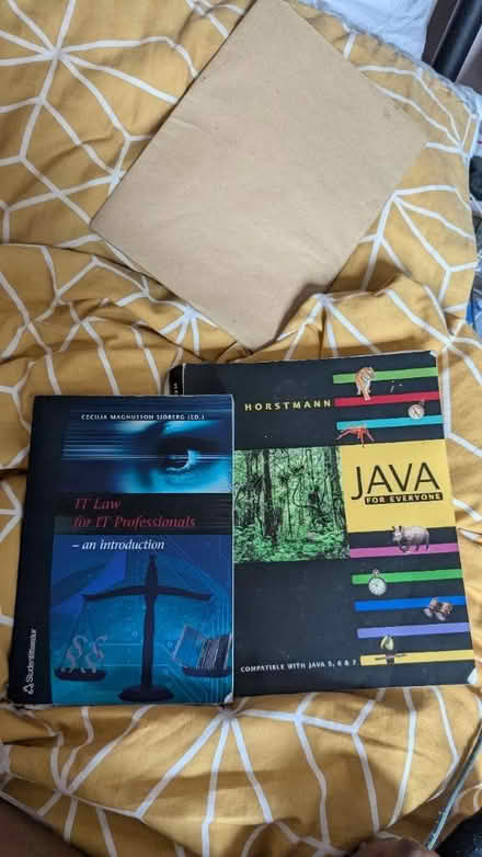 Photo of free IT books (Canning Town E13) #1