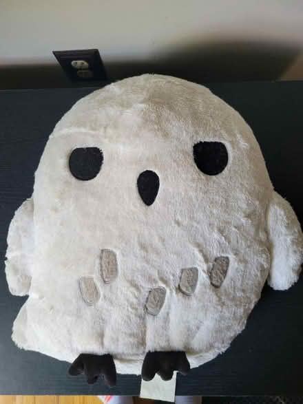 Photo of free Hedwig pillow (Dracut) #1