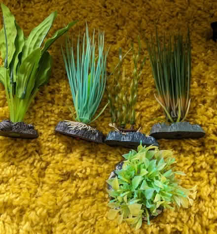 Photo of free Small Fish Tank and Accessories (IP2) #4