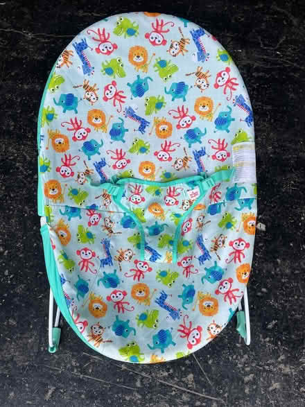 Photo of free Baby Bouncer/Rocker (Glan Conwy (LL28)) #1