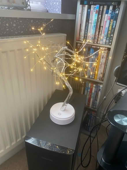 Photo of free Fairy Tree Light (Coventry CV5) #1