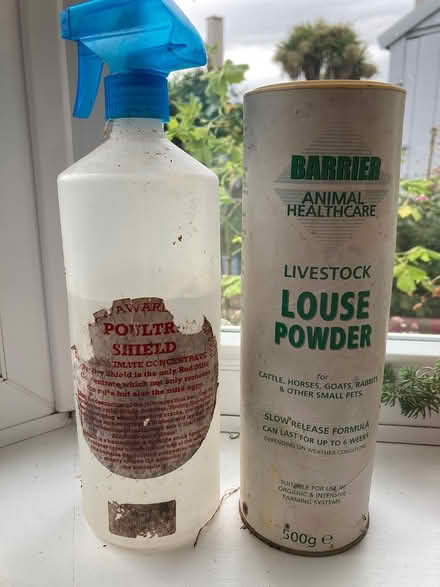 Photo of free Poultry anti-mite powder spray (Chichester central PO19) #1