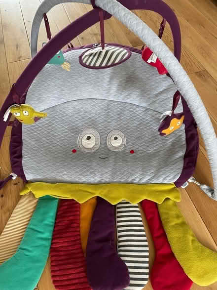 Photo of free Octopus Play Gym & Tummy Time Mat (Glan Conwy (LL28)) #2