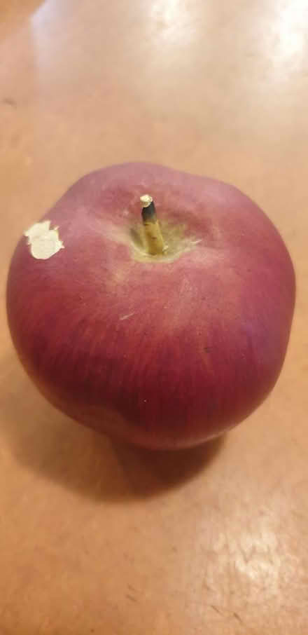 Photo of free Fake apple (Old Trafford, M16) #2