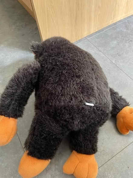 Photo of free Chimp dog toy (North Ascot SL5) #2