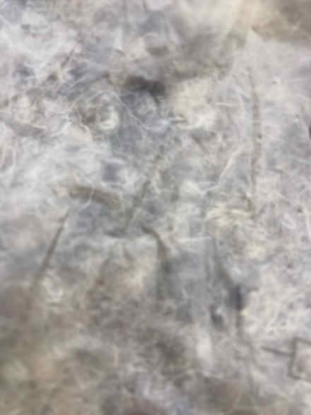 Photo of free Wool insulation (Uley) #2