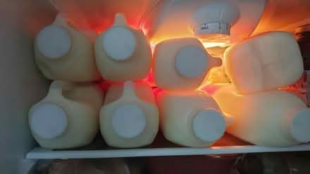 Photo of free Skimmed milk, 20 pints (St Helens TN34) #1