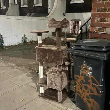 Photo of free Cat play tower games (SE11) #1