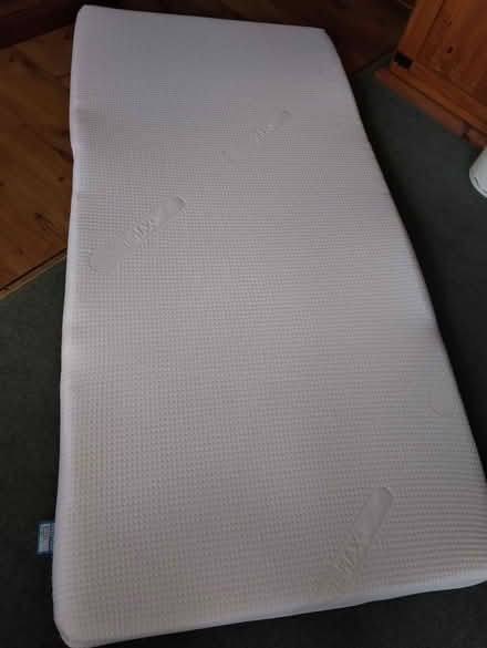 Photo of free Single mattress topper (Galmpton TQ5) #1