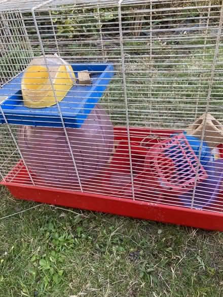 Photo of free Hamster, rat, mouse cage. (Neithrop OX16) #1