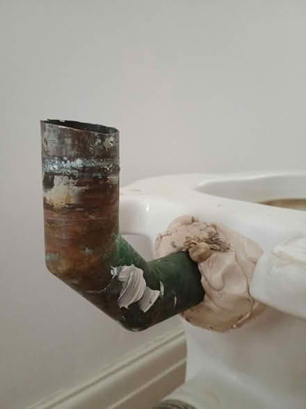 Photo of free Toilet (SE12) #3