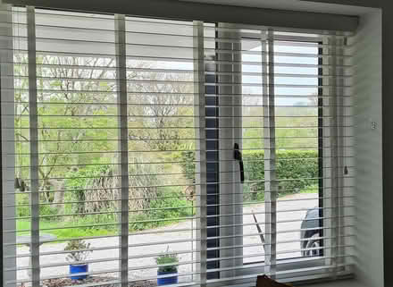 Photo of free Blinds (Charmouth DT6) #2