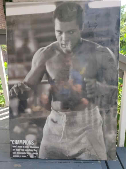 Photo of free Muhammad Ali print (Old Ottawa south) #1