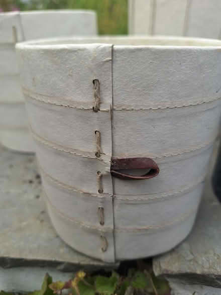 Photo of free Assorted recycled paper indoor pots (Kingscourt, Stroud) #3