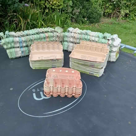 Photo of free Egg Boxes (Coton CB23) #1