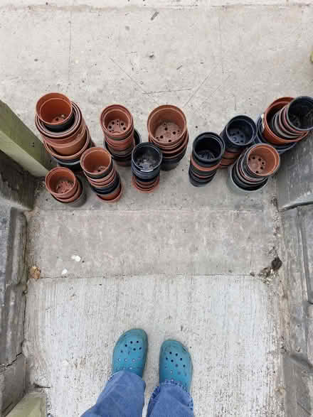 Photo of free Flowerpots (Woodside TF7) #2