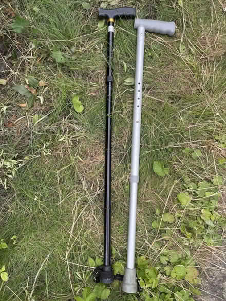 Photo of free Two walking sticks (Oxford, near Cowley Rd. Tescos) #1