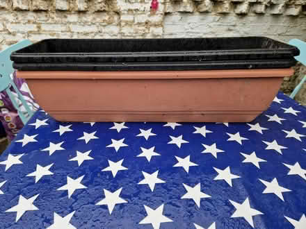 Photo of free Planters (Tooting SW17) #1