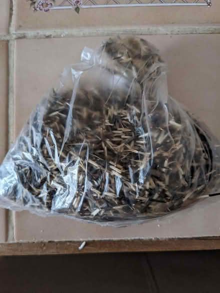 Photo of free Various (L8) #1