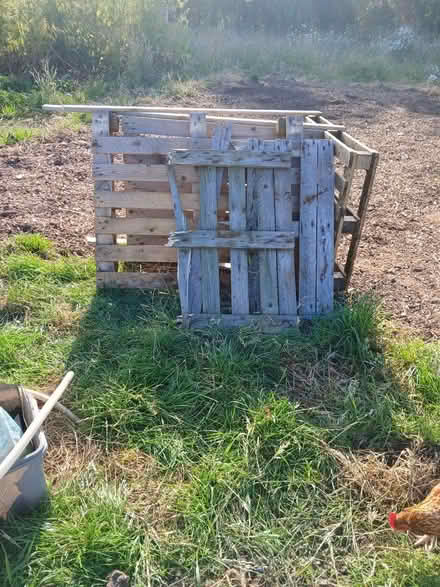 Photo of free Wood pile (Sharnbrook MK44) #1