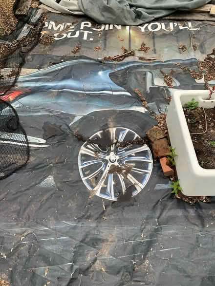 Photo of Pond liner roof felt etc kingsHeath (B14) #1
