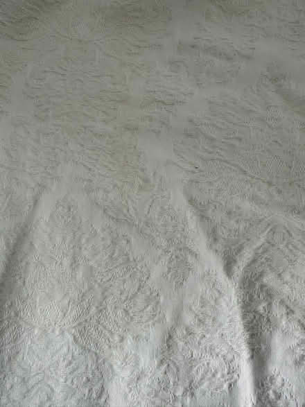 Photo of free Cream jacquard pattern curtains (Burton green) #2