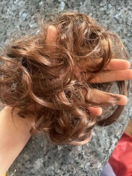 Photo of free Scrunchie with brown hair (Columbia Heights) #1