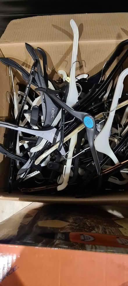 Photo of free Hangers (Charmouth DT6) #2