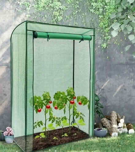 Photo of Tomato Greenhouse (Taunton Killams & Mountfield District Ward TA1) #1