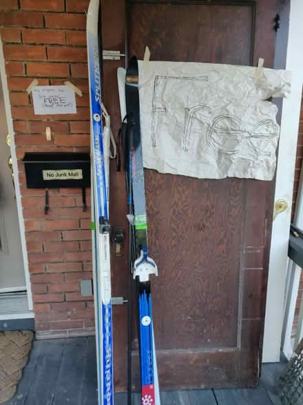 Photo of free Cross country skis and poles (Old Ottawa south) #1
