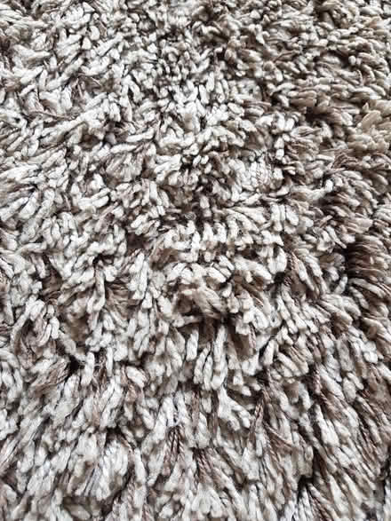 Photo of free Neutral rug (Exeter, Beacon Heath) #2